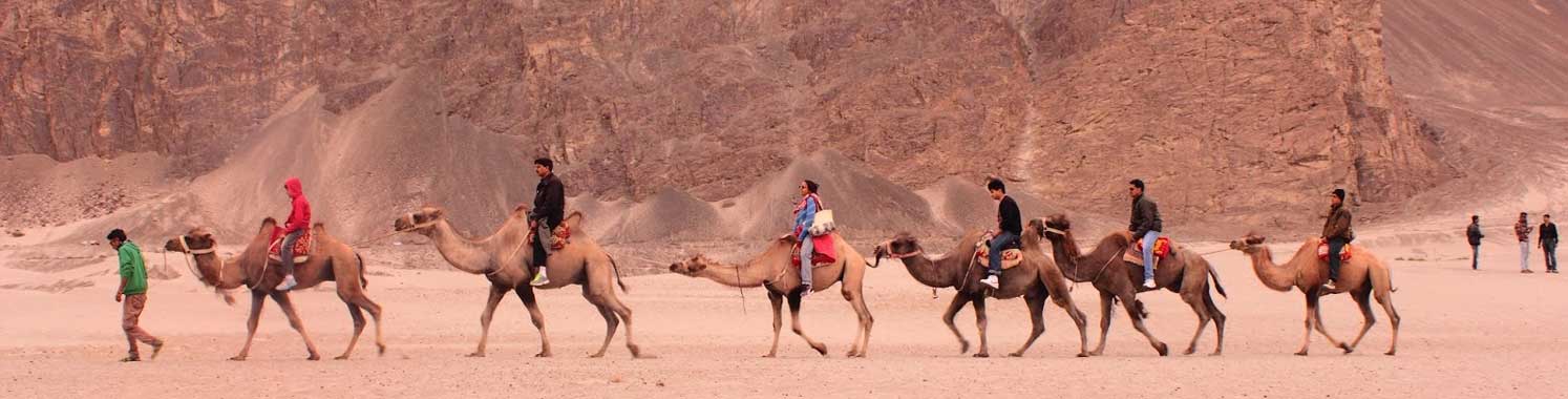 <p>Ladakh Classic Circuit: High Passes, Monasteries, Valleys &amp; Cultural Encounters</p>