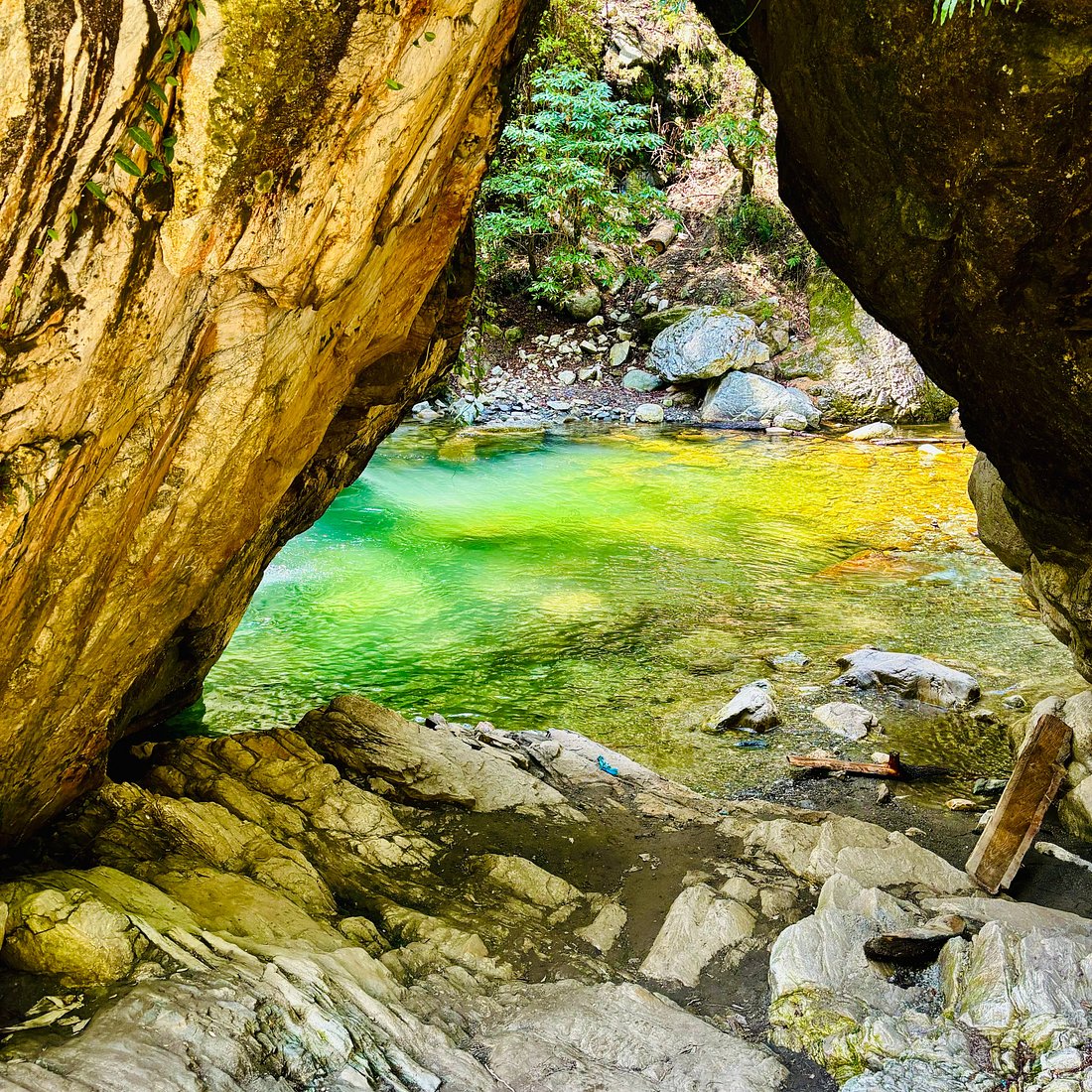<p>A Himalayan Forest &amp; Meadow Retreat</p>