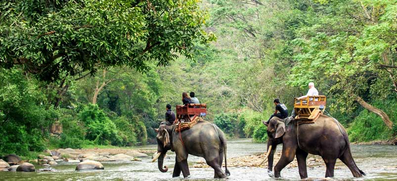 <p>Manas Wilderness &amp; Riverine Retreat</p>