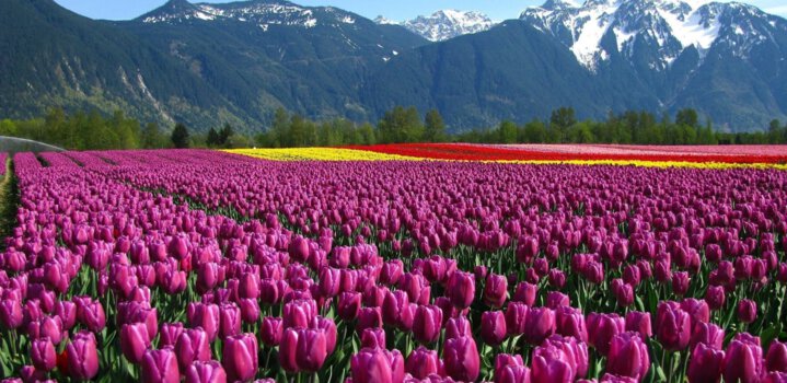 <p>Kashmir Grandeur: Lakes, Meadows &amp; Valleys</p>